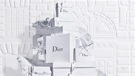 dior apparel|dior website uae.